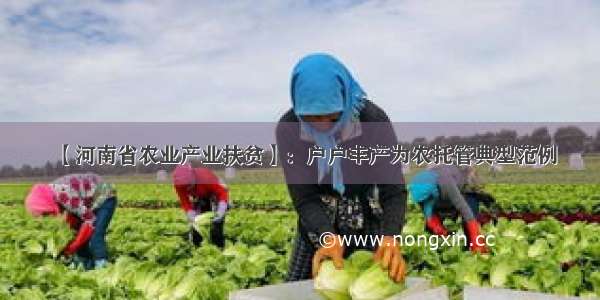 【河南省农业产业扶贫】：户户丰产为农托管典型范例