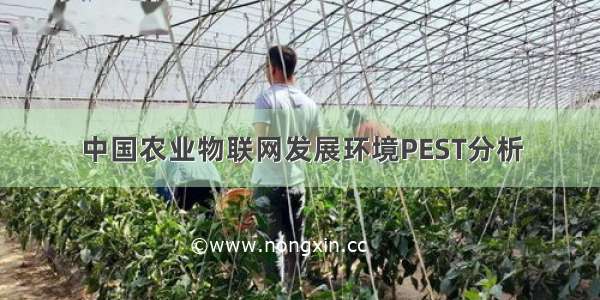 中国农业物联网发展环境PEST分析