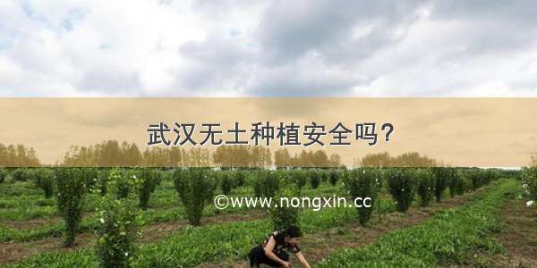 武汉无土种植安全吗？
