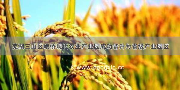 芜湖三山区峨桥现代农业产业园成功晋升为省级产业园区