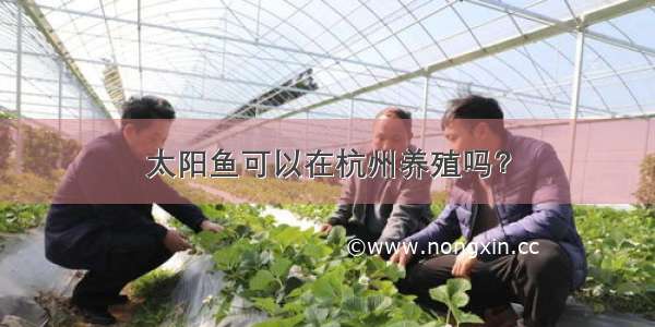 太阳鱼可以在杭州养殖吗？