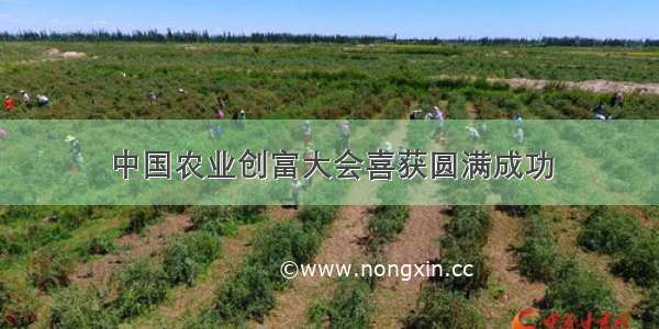 中国农业创富大会喜获圆满成功