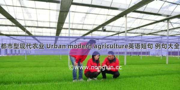 都市型现代农业 Urban modern agriculture英语短句 例句大全