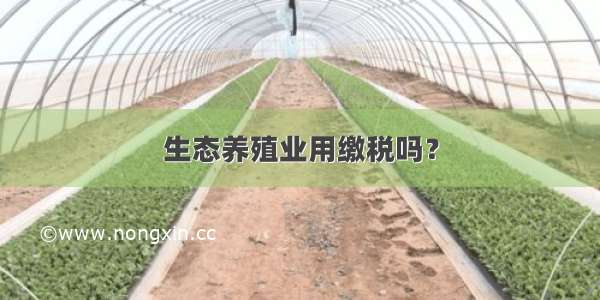 生态养殖业用缴税吗？